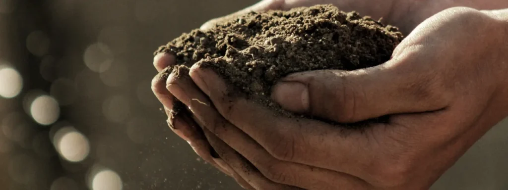 person holding sand