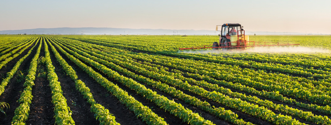 crops on a farm