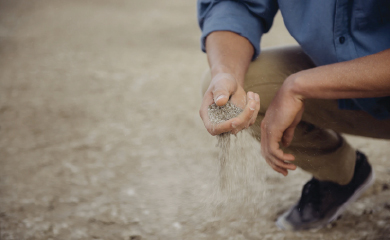 person holding soil in hand